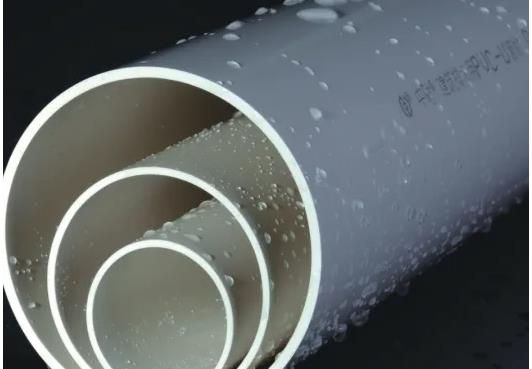 中財區(qū)域代理是什么意思？中財代理需要多少錢？