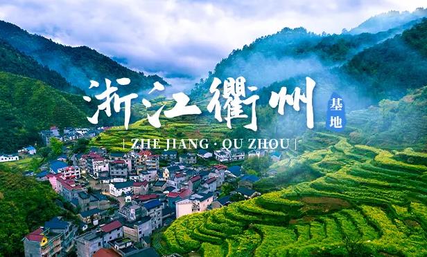 衢州ppr水管加盟代理哪個品牌好？選擇國產(chǎn)還是進(jìn)口品牌？